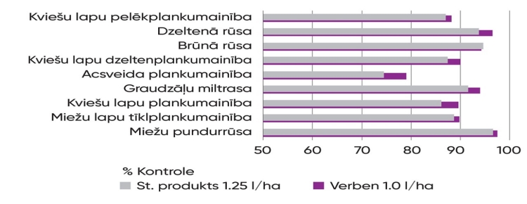 Verben graph - 2 page