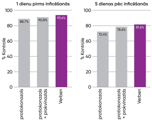 LV verben graph 3